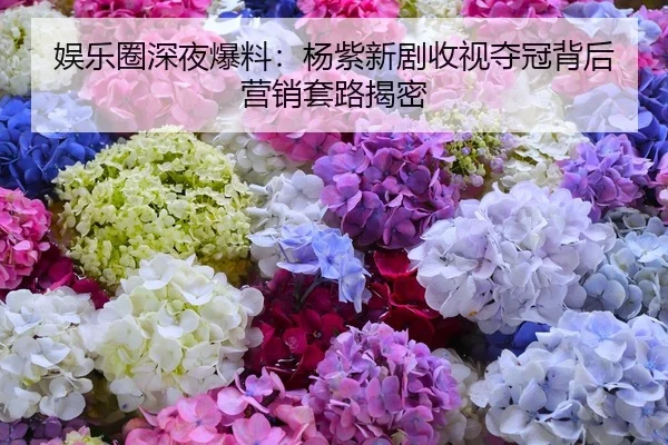 yu-le-quan-shen-ye-bao-liao-yang-zi-xin-ju-shou-shi-duo-guan-bei-hou-ying-xiao-tao-lu-jie-mi-1-676.jpg